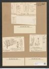 Schizonema sp. (de-Toni-Nr.: Genus 20) Zeichnungen Sammlung Grunow Nr. 2318 (NHMW-BOT-W0369443)